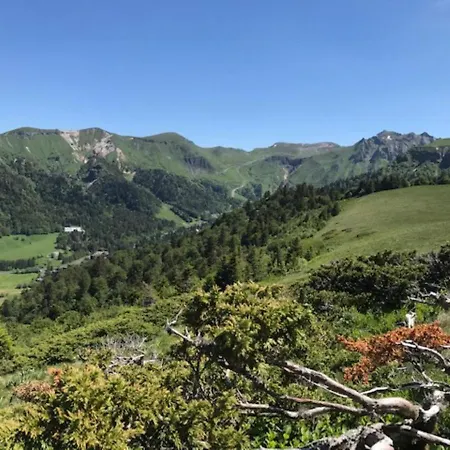 Mont-dore, 2 Pièces, 5 Personnes - Fr-1-608-134