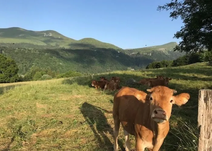 T2 Hyper Centre - Acces Wifi - 5 Pers. - Fr-1-608-134 * Le Mont-Dore